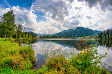 Fototapeta premium Schwarzsee, Moorsee bei Kitzbühel, Tirol