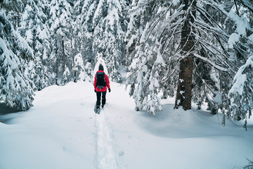 cute young caucasian woman spending her free time hiking outdoors in nature, covered with snow. Making a fresh path in newly covered snow. 