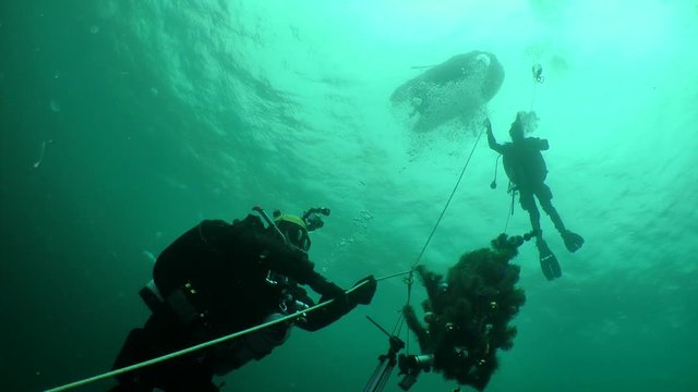 Archaeological divers celebrate the New Year under water: divers with the New Year tree carry out decompression.