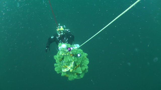 Archaeological divers celebrate New Year under water: diver decompression near the New Year tree, wide shot, top view.