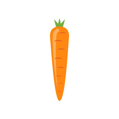 Carrot vector icon isolated illustration. Carrot symbol vegetarian