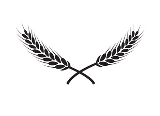 Laurel wreath vector award branch victory icon. Winner laurel wreath vintage leaf emblem