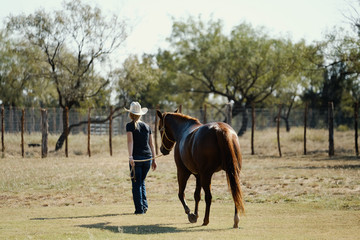 Western lifestyle cowgirl walking horse through Texas field.