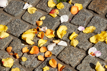 Roses leaves on ground after wedding