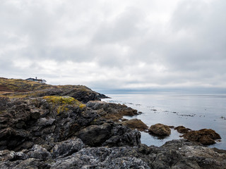 Grassy, rocky shoreline of San Juan Island, WA, on a cloudy, blue day