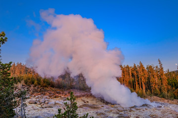 Geyser of Yellowstone