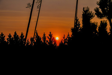Sunset in Yellowstone