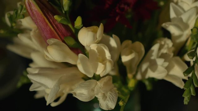 Push-in to little white flowers in a vase