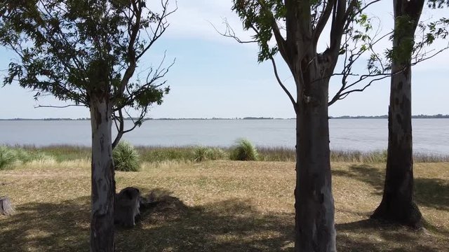 passage of trees to the lagoon of chascomus Buenos Aires, Argentina