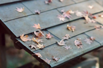 an old roof of a house with leaves on it 