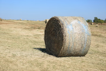 Texas land of the nature love