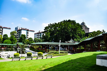 Fototapeta premium Chinese garden 中式园林