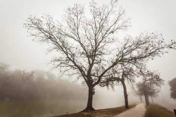 Brownwood Tx fog in the Riverside Park lake  winter season