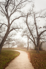 Brownwood Tx  fog in the Riverside Park  winter  season 