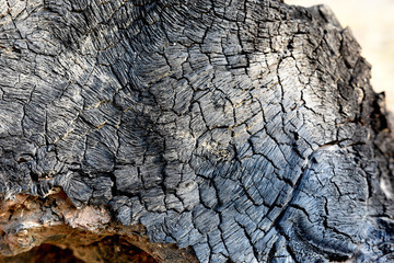 close up surface of burned wood.