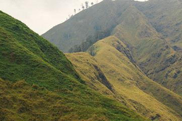 views of sembalun hilltops.