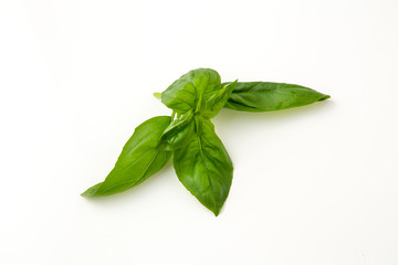 バジル