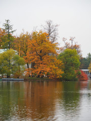 Beautiful winter garden The leaves are changing color