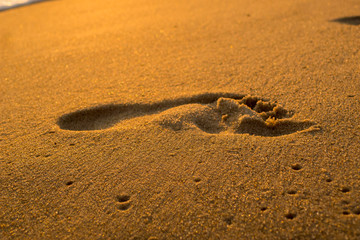 Footprint on the quartz sand on the beach - Baltic sea.