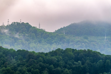 Fog in the dense green forest on the top of the hill. Power lines in the mountains.