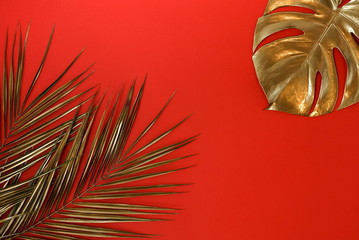 Gold leaves plant tropical monstera and palm pattern on a red background. top view.abstract.