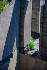 Fragment of an abandoned old fort on the Crozon Peninsula. Finister. Brittany. France