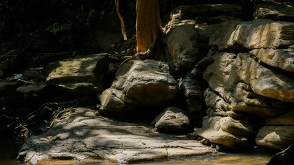 stream in the forest