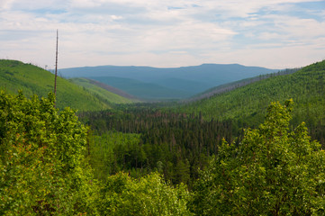 Taiga landscape and nature of the Russian Far East