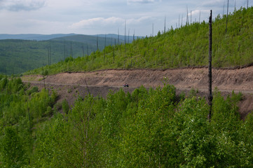 Taiga landscape and nature of the Russian Far East