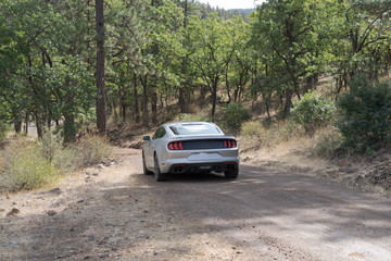 Obraz na płótnie Canvas Sports car on dirt road