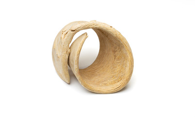 Nature object for decoration very detailed on texture.  isolated on a white background with clipping path.