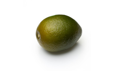 Nature object for decoration very detailed on texture.  isolated on a white background with clipping path.