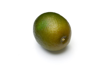 Nature object for decoration very detailed on texture.  isolated on a white background with clipping path.