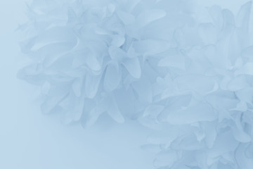 Obraz premium Beautiful abstract color purple and blue flowers on white background and light blue flower frame and purple leaves texture, blue background