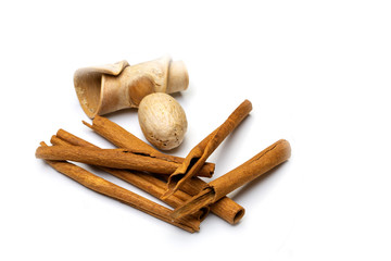 Nature object for decoration very detailed on texture.  isolated on a white background with clipping path.
