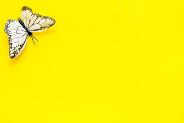 Beautiful tropical butterfly on yellow background top-down copy space