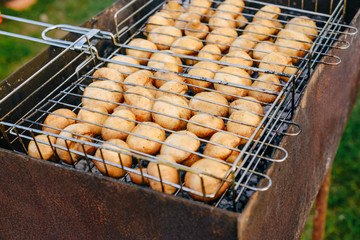 Shish kebab of mushrooms on the grill in the grill. Summer. Meal. Vegetarianism.