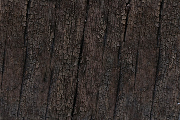 Dark brown tree bark
