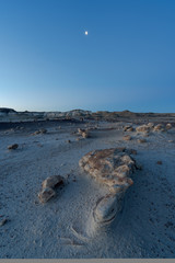 Bisti badlands, De-na-zin wilderness area, New Mexico, USA. Fantastic landscapes.
