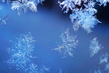 Fototapeta na wymiar Winter frost in close up