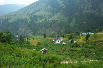 Fototapeta na wymiar Small village in Himalayas, Nepal