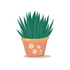 Cute succulent in flat style, vector illustration, houseplant, icon