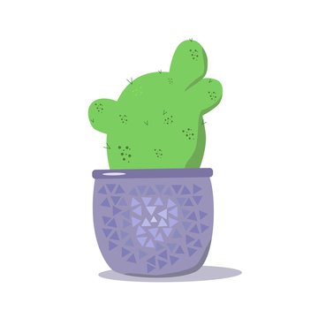 vector cactus in purple pot with ornament, flat illustration