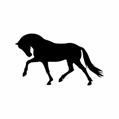 Horse black silhouette. Equine vector illustration.