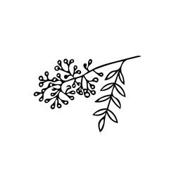 rowan branch in hand drawn style. Scandinavian simple doodle style.