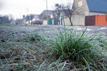 Hoarfrost on the frosty grass. Frosty road, houses and car in the background