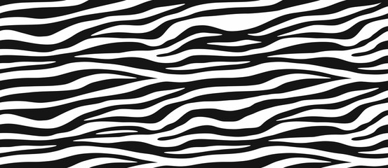 Zebra skin, stripes pattern. Animal print, black and white detailed and realistic texture. Monochrome seamless background. Vector illustration  - obrazy, fototapety, plakaty