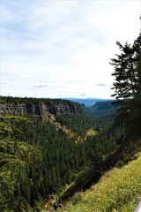 Fototapeta premium Looking down the Chasm Canyon near Clinton in Chasm Provincial Park