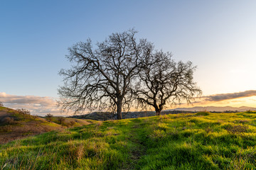 Fototapeta premium Sunset from Mount Diablo State Park