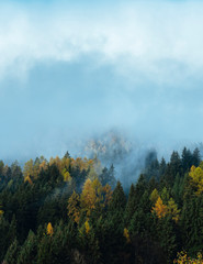 Low cloud layers covering alpine mountain forest in South Tyrol, Italy / Foggy Autumn day